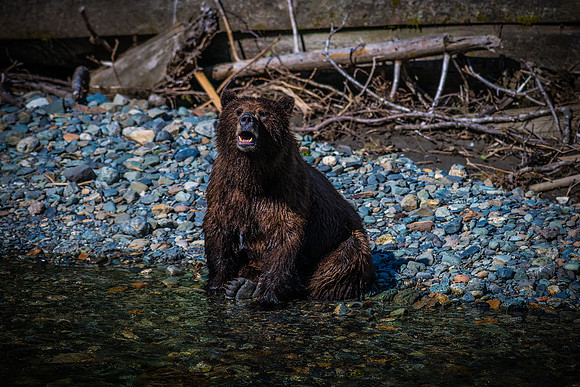 MSB_6568-Edit